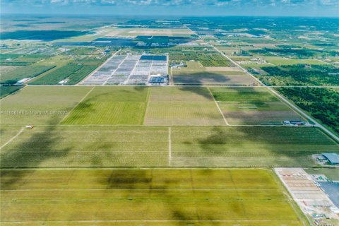 Commercial property in Homestead, Florida № 1882266 - photo 3