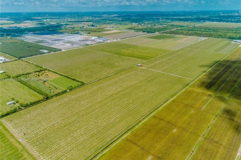 Commercial property in Homestead, Florida № 1882266 - photo 13
