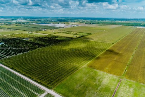 Commercial property in Homestead, Florida № 1882266 - photo 12