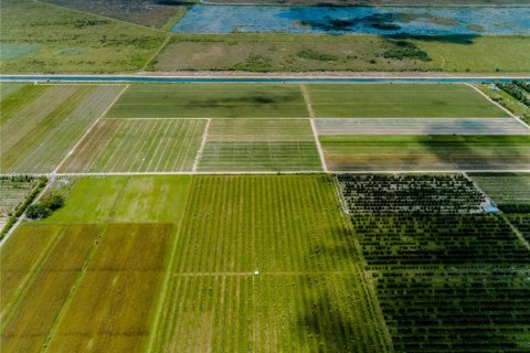 Commercial property in Homestead, Florida № 1882266 - photo 4