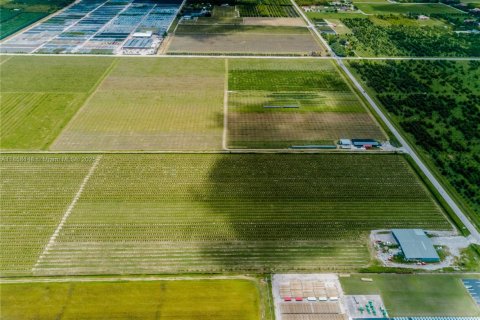 Commercial property in Homestead, Florida № 1882266 - photo 14