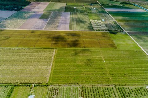 Commercial property in Homestead, Florida № 1882266 - photo 7