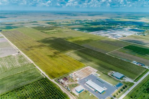 Commercial property in Homestead, Florida № 1882266 - photo 15