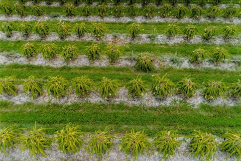 Commercial property in Homestead, Florida № 1882266 - photo 18