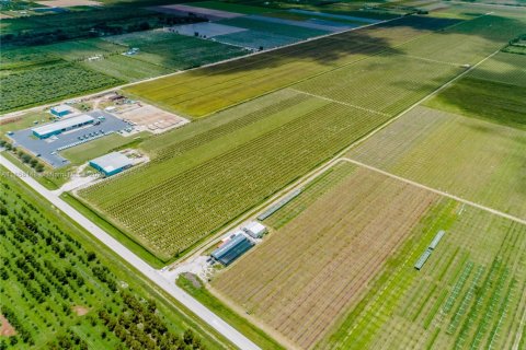 Commercial property in Homestead, Florida № 1882266 - photo 9