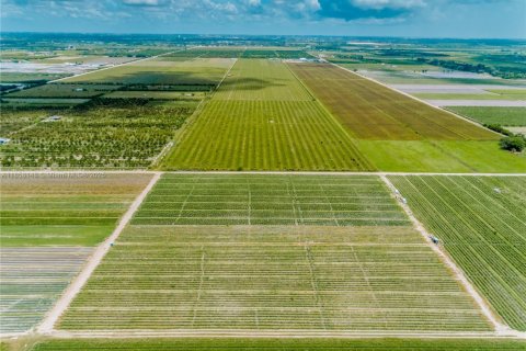 Commercial property in Homestead, Florida № 1882266 - photo 11
