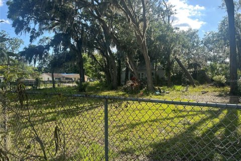 Terreno en venta en Plant City, Florida № 1880727 - foto 5