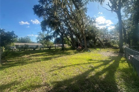 Terreno en venta en Plant City, Florida № 1880727 - foto 4
