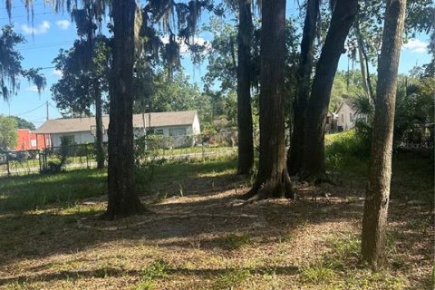 Terreno en venta en Plant City, Florida № 1880727 - foto 13