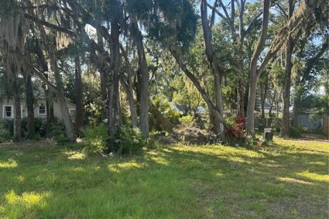 Terreno en venta en Plant City, Florida № 1880727 - foto 9