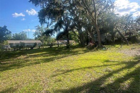 Terreno en venta en Plant City, Florida № 1880727 - foto 17