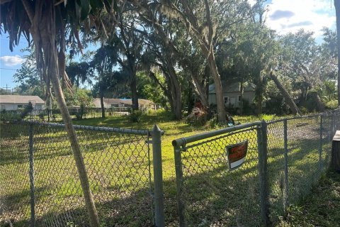 Terreno en venta en Plant City, Florida № 1880727 - foto 3