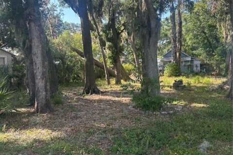 Terreno en venta en Plant City, Florida № 1880727 - foto 10