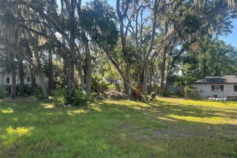 Terreno en venta en Plant City, Florida № 1880727 - foto 2
