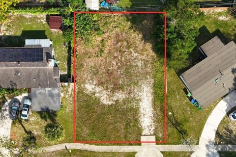 Land in Orlando, Florida № 2391010