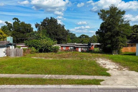 Land in Orlando, Florida № 2391010 - photo 3