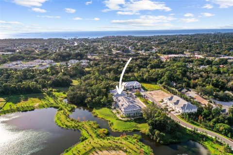 Touwnhouse à vendre à Palm Harbor, Floride: 3 chambres, 201.78 m2 № 2431649 - photo 15