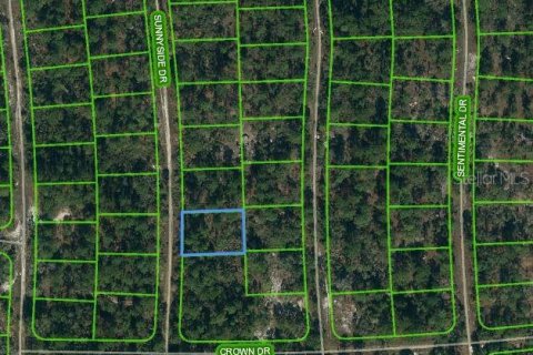 Land in Lake Placid, Florida № 2213025