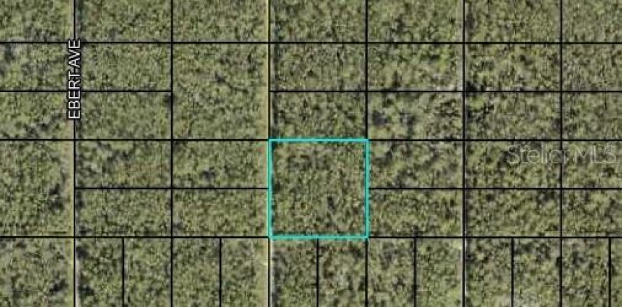 Terrain à Hastings, Floride № 2213711