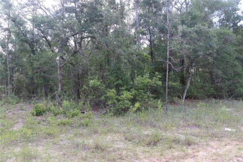 Land in Dunnellon, Florida № 2164721 - photo 2