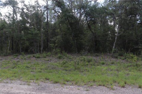 Land in Dunnellon, Florida № 2164721