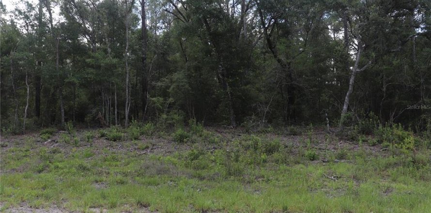 Land in Dunnellon, Florida № 2164721