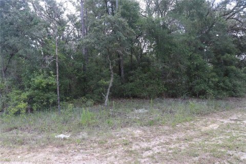 Land in Dunnellon, Florida № 2164721 - photo 3