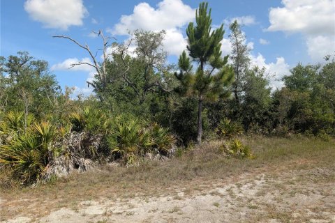 Terrain à vendre à Indian lake estates, Floride № 2214067 - photo 2