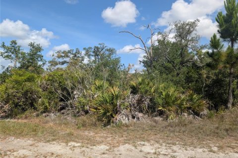 Land in Indian lake estates, Florida № 2214067