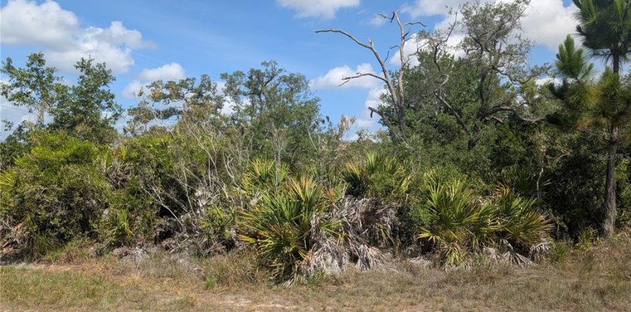 Terrain à Indian lake estates, Floride № 2214067