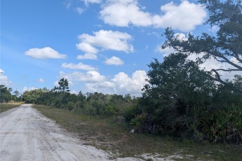 Terrain à vendre à Indian lake estates, Floride № 2214067 - photo 5