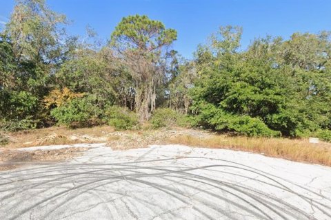 Land in Poinciana, Florida № 2161618 - photo 5