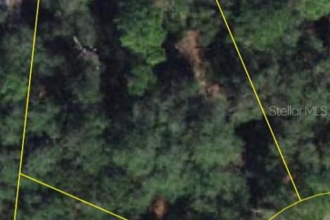 Land in Poinciana, Florida № 2161618 - photo 3