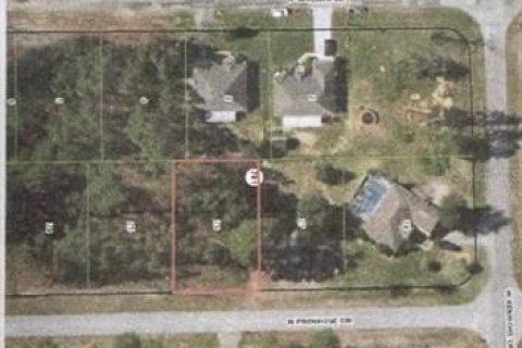 Terreno en venta en Citrus Springs, Florida № 2162123 - foto 3