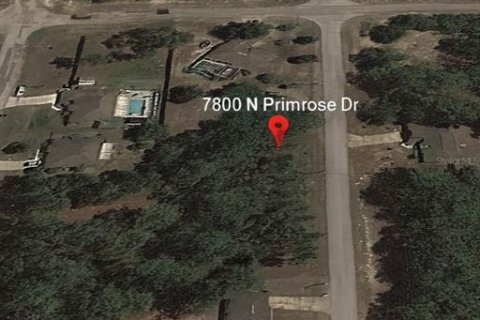 Terreno en venta en Citrus Springs, Florida № 2162123 - foto 4