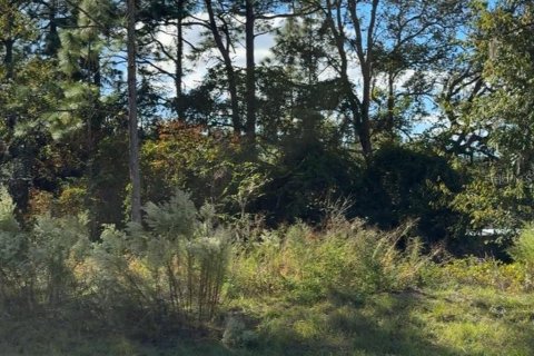 Terreno en Citrus Springs, Florida № 2162123