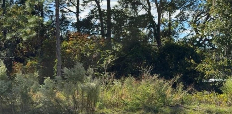 Terreno en Citrus Springs, Florida № 2162123