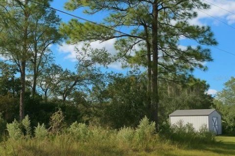 Terreno en venta en Citrus Springs, Florida № 2162123 - foto 2