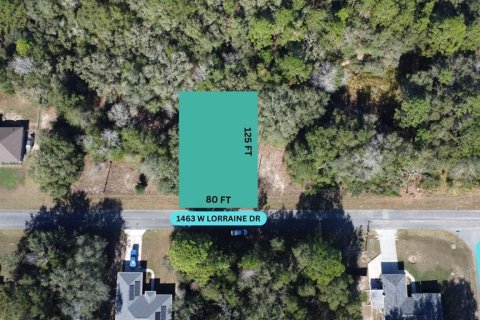 Land in Citrus Springs, Florida № 2228992