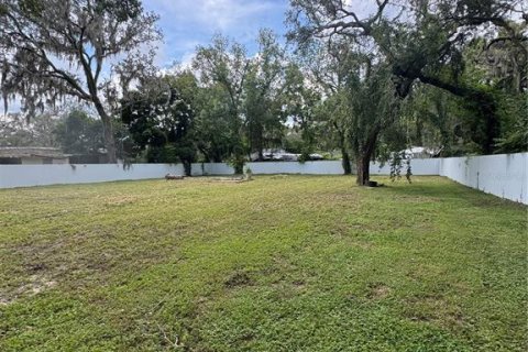 Terrain à Leesburg, Floride № 2232797