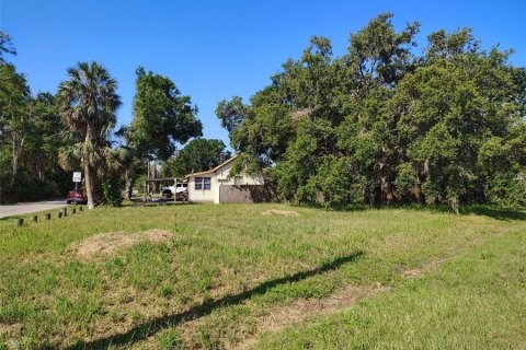Terreno en venta en Ruskin, Florida № 1690618 - foto 5