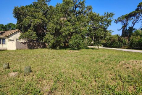 Terreno en venta en Ruskin, Florida № 1690618 - foto 7