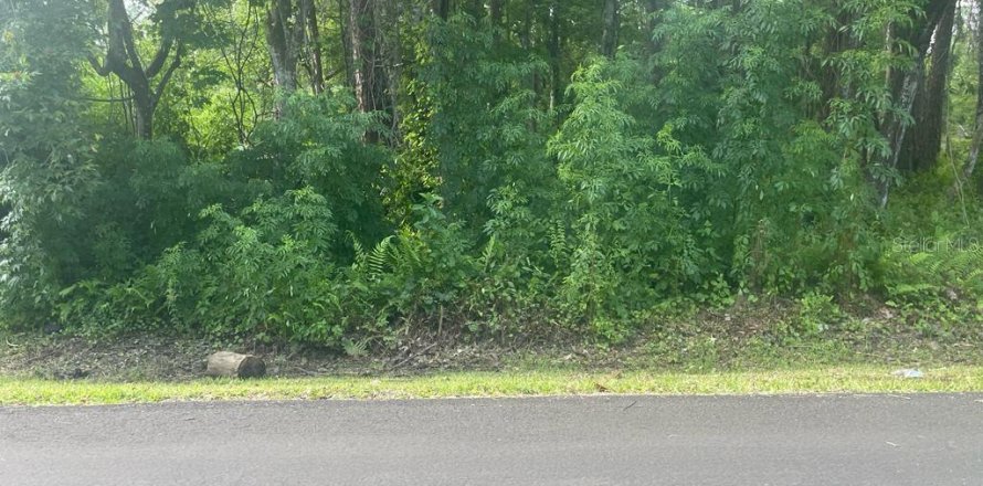 Land in Kissimmee, Florida № 848470