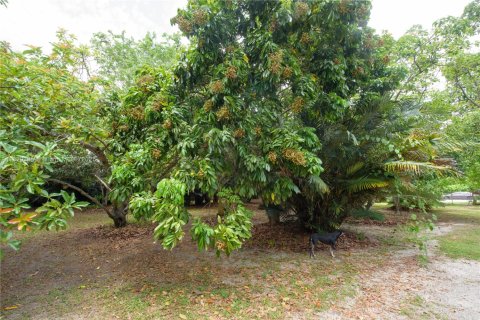 Купить виллу или дом в Майами, Флорида 8 комнат, 145.3м2, № 1957656 - фото 20