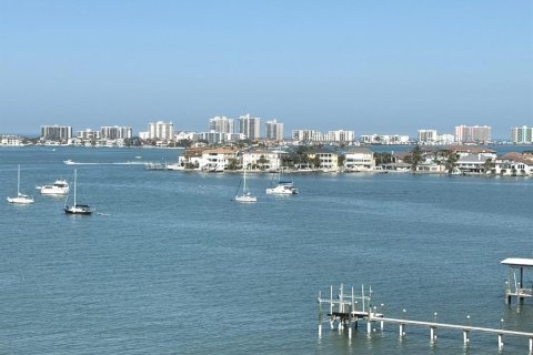 Condo in Belleair Bluffs, Florida, 2 bedrooms  № 1547532 - photo 10