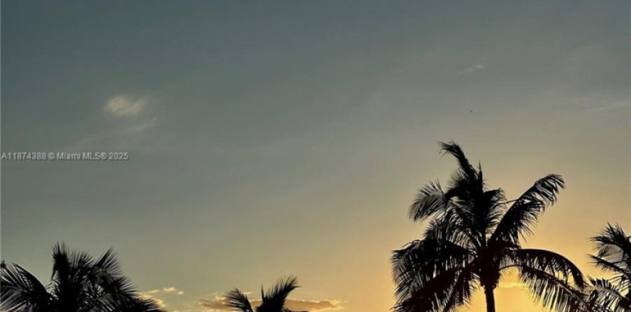 Studio à Miami Beach, Floride № 1977969