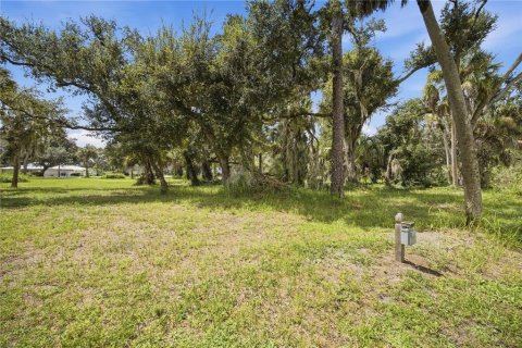 Terrain à vendre à Bradenton, Floride № 2373478 - photo 8