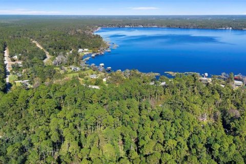 Land in Florahome, Florida № 2224117 - photo 4