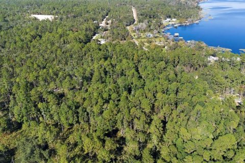 Land in Florahome, Florida № 2224117 - photo 3