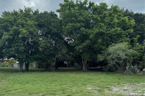 Terrain à Immokalee, Floride № 2213064